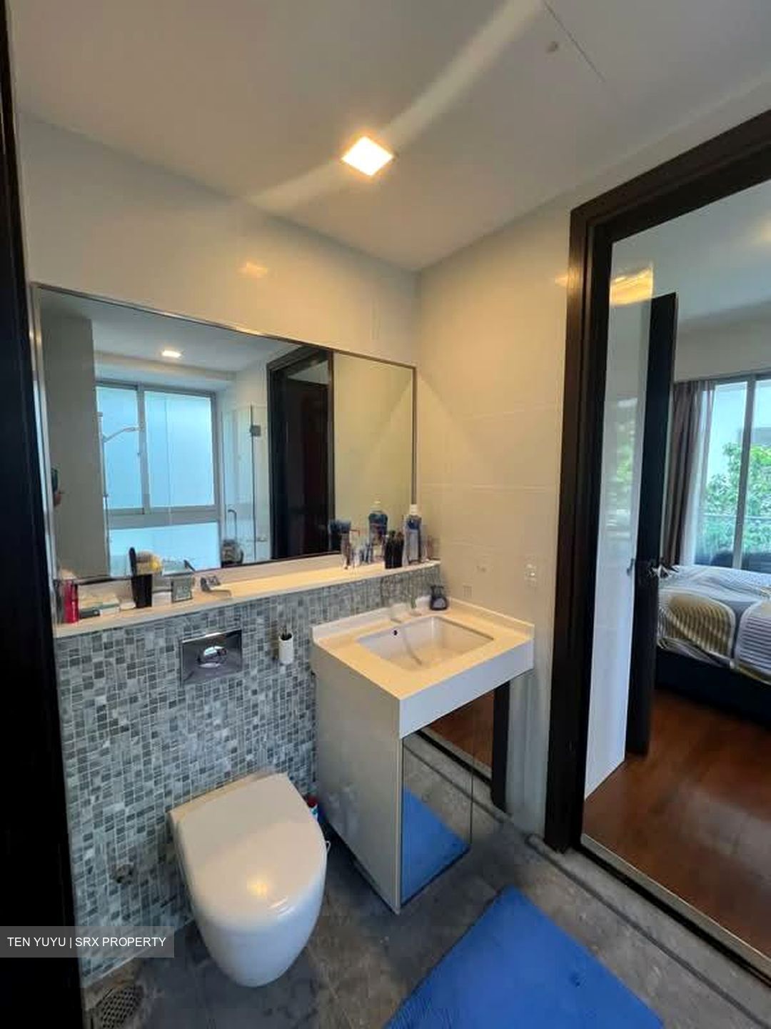 The Mercury (D10), Apartment #589887741